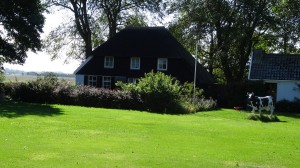 Maison de chaume au nord de la Hollande