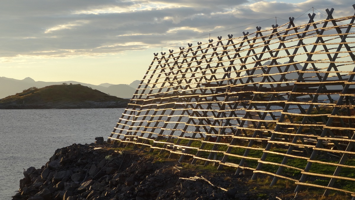 Les îles des LOFOTEN les 10 et 11 octobre