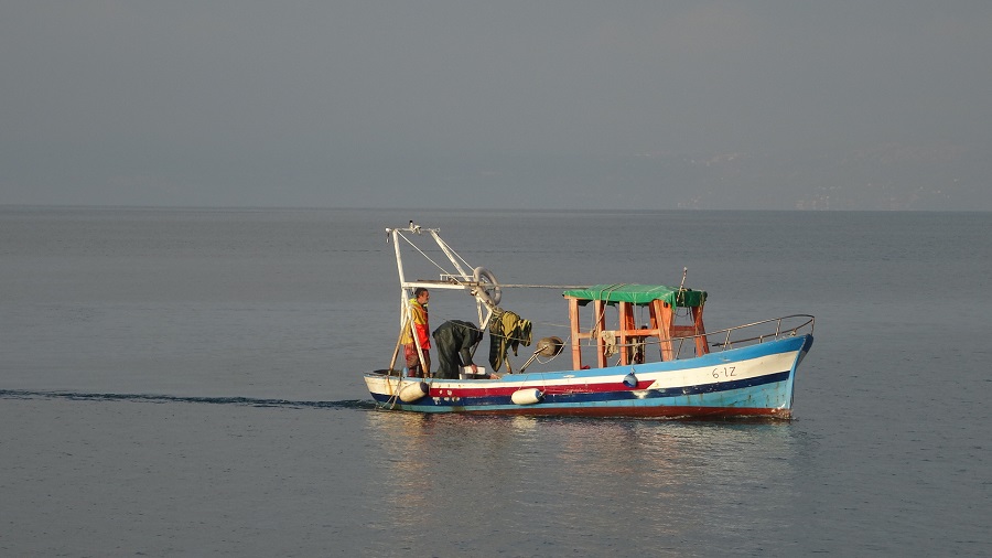 LJUBLJANA et descente vers le sud de la Slovénie